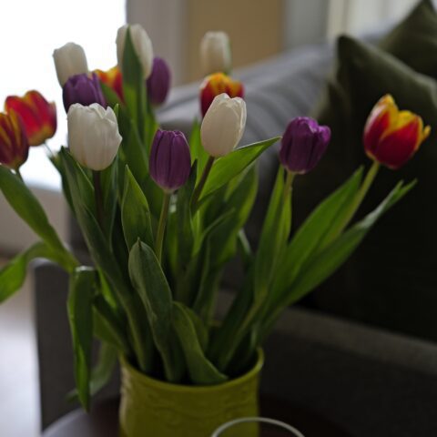 image of a multi colored flower bouquet of tulips sitting on a side table in a living room. The text on the graphic is wishing women a happy international women's day