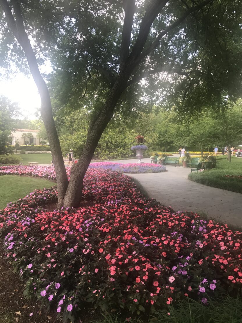 dallas arboretum botanical gardens