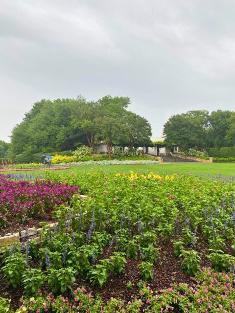 dallas arboretum botanical gardens