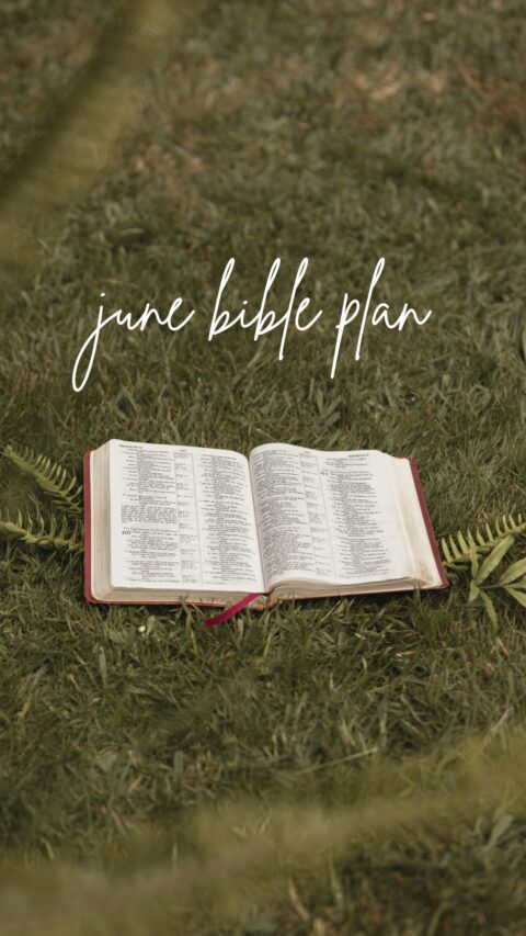 June Bible reading plan